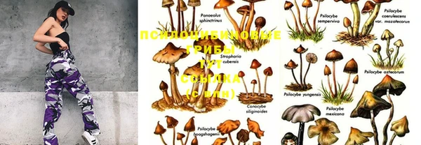 прущие крисы Абаза