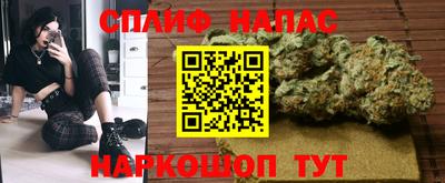 сатива Котовск