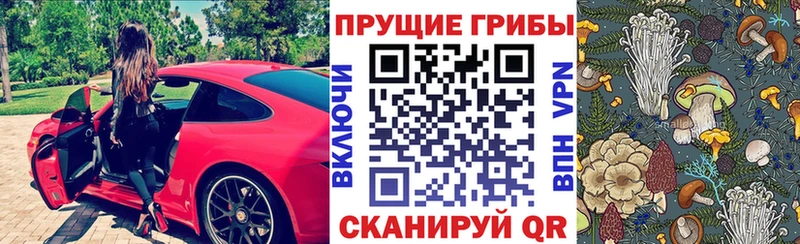 блэк спрут ссылки  Мегион  Галлюциногенные грибы Magic Shrooms 