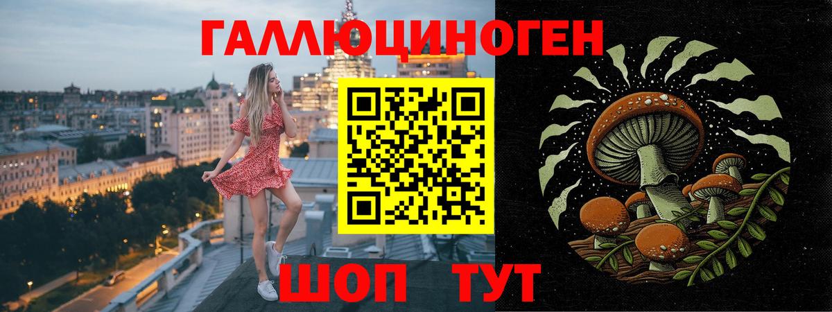 Псилоцибиновые грибы GOLDEN TEACHER  Вход с VPN  Псилоцибиновые грибы мухоморы  даркнет сайт  Мегион 