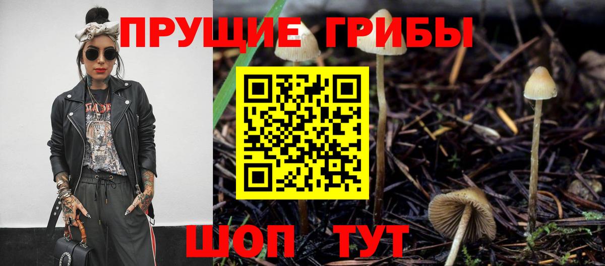 Псилоцибиновые грибы Psilocybe Мегион